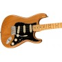 FENDER American Professional II Stratocaster Roasted Pine Maple