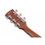 IBANEZ PC12MHLCE-OPN Open Pore Natural Gaucher