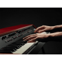 NORD GRAND 88 Notes