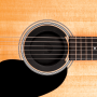 D'ADDARIO Feedback Suppressor
