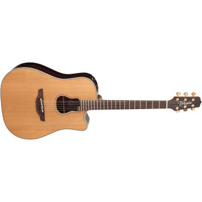 TAKAMINE GB7C Garth Brooks