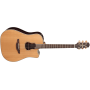 TAKAMINE GB7C Garth Brooks