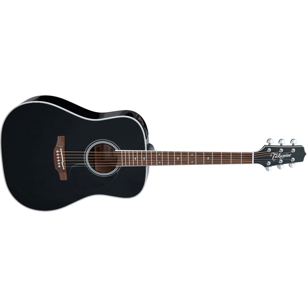 TAKAMINE FT341 Limited Edition