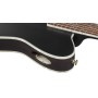 IBANEZ TOD10NL-TKF Transparent Black Flat Gaucher