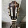 IBANEZ TOD10NL-TKF Transparent Black Flat Gaucher