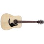 Pack Guitare Acoustique ALVAREZ RD26S Natural