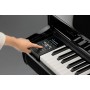 KAWAI DG30 Noir Laqué