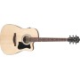 IBANEZ V40CE-OPN Open Pore Natural