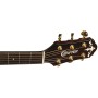 CRAFTER DG G-1000CE 50Th Anniversary