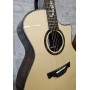 CRAFTER DG G-1000CE 50Th Anniversary