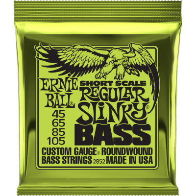 ERNIE BALL Regular Slinky Bass Short Scale 45-105