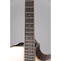 TAKAMINE GD90CEMD-NAT Natural