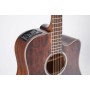 TAKAMINE GD21CE-SM Satin Molasses