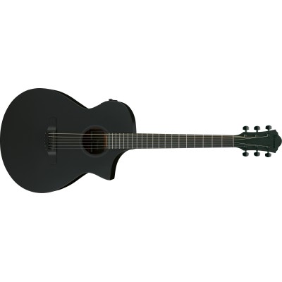 IBANEZ AEWC621-BOT Black Out