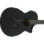 IBANEZ AEWC621-BOT Black Out