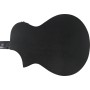 IBANEZ AEWC621-BOT Black Out