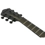 IBANEZ AEWC621-BOT Black Out