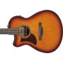 IBANEZ AAM50LCE-OLB Open Pore Light Brown Sunburst Gaucher