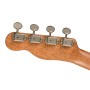 FENDER Concert Zuma Exotic Bocote