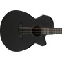 IBANEZ AEG721-BOT Black Out