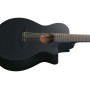 IBANEZ AEG721-BOT Black Out