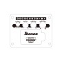 IBANEZ AEG721-BOT Black Out