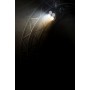 ALGAM LIGHTING Par COB 4x 50W Cold White / Warm White
