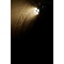 ALGAM LIGHTING Par COB 4x 50W Cold White / Warm White