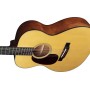 MARTIN 000-18-L Gaucher