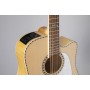 TAKAMINE GD74CE-12 Natural 12 Cordes