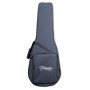 TAKAMINE DSF48C Santa Fe Gaucher