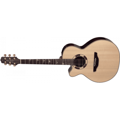 TAKAMINE DSF48C Santa Fe Gaucher
