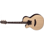 TAKAMINE DSF48C Santa Fe Gaucher