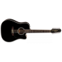 TAKAMINE EF381DX Black 12 Cordes
