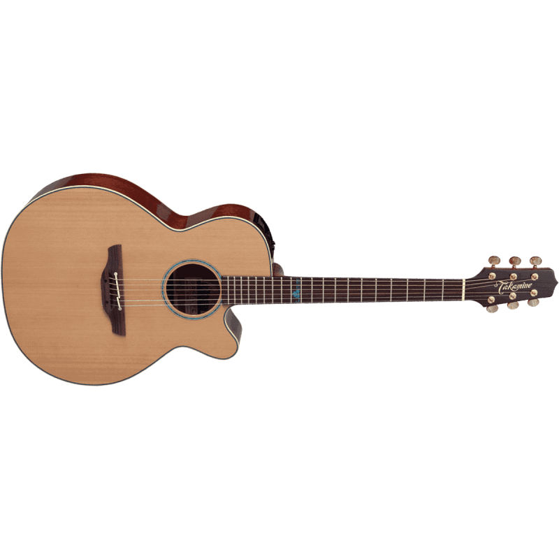 TAKAMINE FSF40C Santa Fe