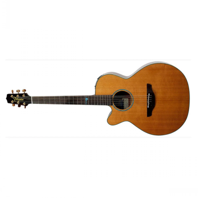 TAKAMINE FSF40C Santa Fe Gaucher