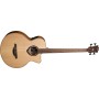 LAG Hyvibe 10 Basse Acoustique Pan Coupé