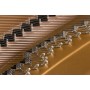 KAWAI GL50 Noir Laqué