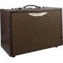 ASHDOWN Woodsman Classic 40 W