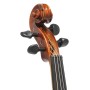 GEWA Ensemble Violon 4/4 Anniversaire