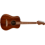 FENDER California Standard Redondo Mini Natural + Housse