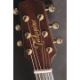 TAKAMINE LTD 2025 OM Cutaway Glossy Antique Evergreen Stock B