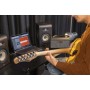 EKO BAIO Amp 15