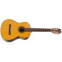Pack Guitare Classique 4/4 PLEYEL P100 Etude