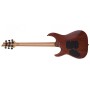 SCHECTER C-1 Exotic Spalted Maple