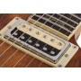 SCHECTER C-1 Exotic Spalted Maple