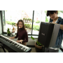 LOCATION Sono Portable ALTO PROFESSIONAL Busker Bluetooth 200 Watts sur batterie 30 Personnes