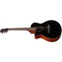 IBANEZ AEG50L-BKH Black Gaucher