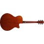 IBANEZ AEG50L-BKH Black Gaucher