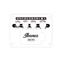 IBANEZ AW54LCE-OPN Open Pore Natural Gaucher